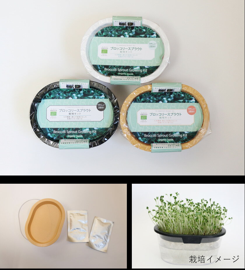 �������ǥ٥� �ץ饦�Ⱥ��ݥ��å� �֥��å��꡼ ���ץ饦�ȼ��2��ʬ�����դ� �ƴ參�顼 �١����塦�֥�å����ۥ磻�ȡ������������Բġ������ѡ��ա��ɡ��¿���̵�������ݥ��ͻ��ѡ�ͭ��ǧ�ںѡˤ������ǥ٥������ץ饦�Ⱥ����ƴ�