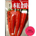 金時ニンジンのタネ　本紅金時人参　特用約3500粒（20ミリリットル）　毛除種子　7〜8月まき