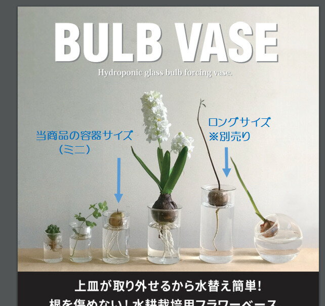 �ҥ䥷�� ����ݥ��å� �庬�Х�֥١����ߥ� �ƴ� ���ꥢ ���졼