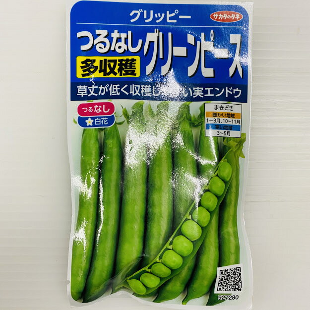 つるなし実えんどう 種　グリッピー 小袋詰　サカタのタネ