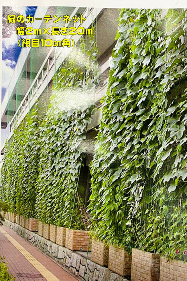 緑のカーテンネット　幅2m×長さ20m　網目10角　ゴーヤ　朝顔　ヘチマ　ひょうたん　エアコンの使用量減に　つる性植物用ネット