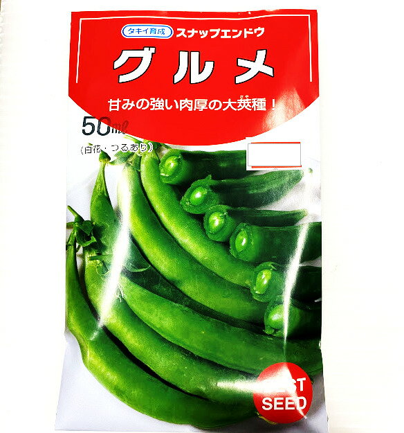スナップエンドウ 種 グルメ 50ミリリットル 約120粒 つるあり品種　11月〜種まき サヤごと食べられる
