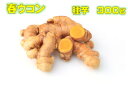 3/末頃〜発送 春ウコン 種芋 300g 約5~8株分 精油成分が豊富に含まれ、カルシウム・カリウム・鉄・マグネシウム・リンなどのミネラルが豊富です。5月植え ...