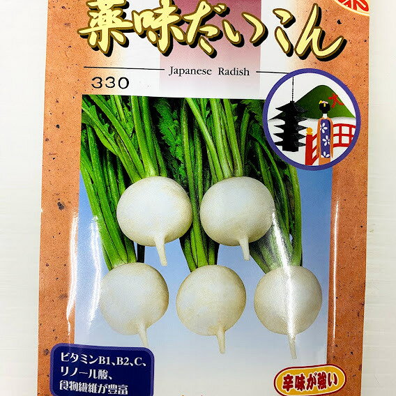 商品情報辛味大根種　10ミリリットル入薬味大根 種 京野菜タネシリーズ小袋詰（約350粒以上）秋・春まき可能　辛味が強い　大根おろしに　根部直径3〜5センチ　だいこん　ダイコン 水分が少なく辛味が強い！薬味向け 1