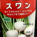 スワン蕪 種 3.5ミリリットル入（約800粒）小〜大サイズまで好みの大きさで収穫できる タキイ交配品種 甘くて柔らかい