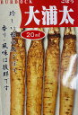 大浦太牛蒡 種 20ミリリットル 約580粒 　9〜10月、3〜4月まき　根長約0.6m根茎約10センチ 紡錘形早生種 外皮は粗いが肉質はやわらかく、中心が空洞になる。肉詰め料理に利用され、煮食用として風味は格別。本葉3〜4枚で20センチ株間になるよう間引き