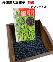 特選 丹波黒大豆 種子 1デシリットル （約80粒）栽培用黒豆種子 早とりして黒枝豆としても美味しい