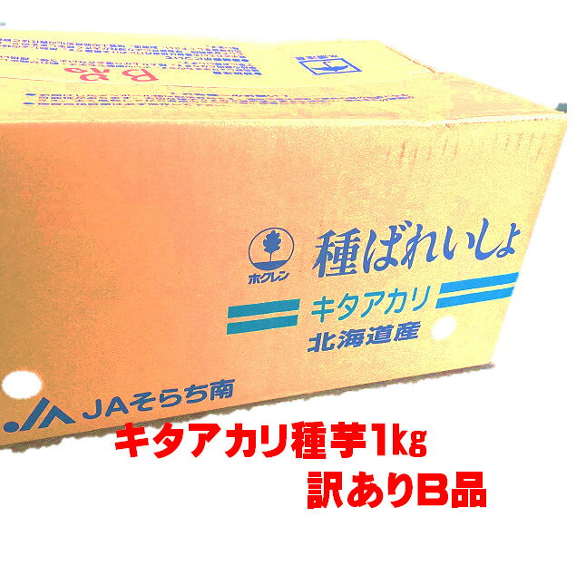 キタアカリ種芋 1kg 訳ありB品 北海道 種馬鈴薯検査合格済 じゃがいも種芋 サイズ2S〜2L混合 ...