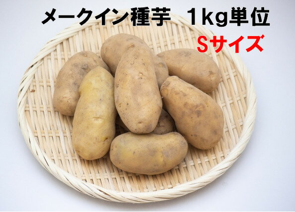 種芋 メークイン Sサイズ 1キロ（約15コ）切らずに植えられるちょうどいいサイズ　北海道道産検査合格済 じゃがいも種芋 種馬鈴薯...