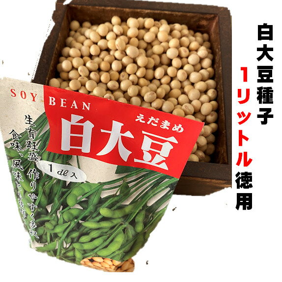 大豆 種種子白大豆 1リットル　約1800粒　5~6月まき　9~10月収穫 品種名：フクユタカ大豆