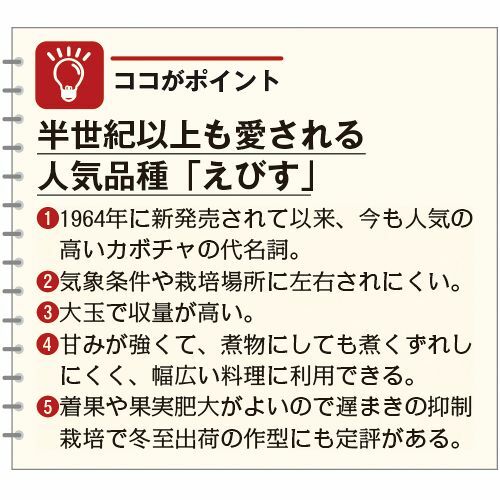 4月上旬～発送　カボチャ苗 えびす　 8or9センチポット　交配後約50〜60日で収穫　...