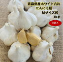 ホワイト六片Mサイズ1キロ 青森県産 にんにく種 等級A (約16〜17球入)約95〜102片分 国産 ガーリック 9月下旬〜10月末植え 6月収穫 種 球根 ...