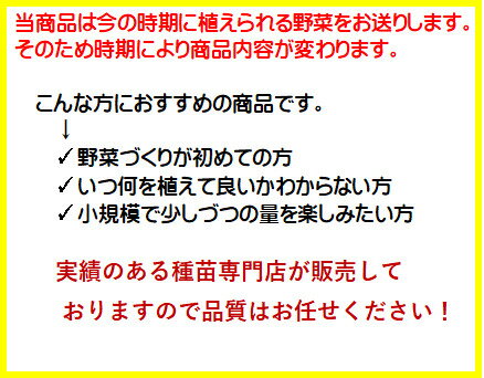 今植える野菜 家庭菜園 旬 じゃがいも きゅうり ナス トマト 種子 種芋 苗 球根 初心者 春 夏 秋