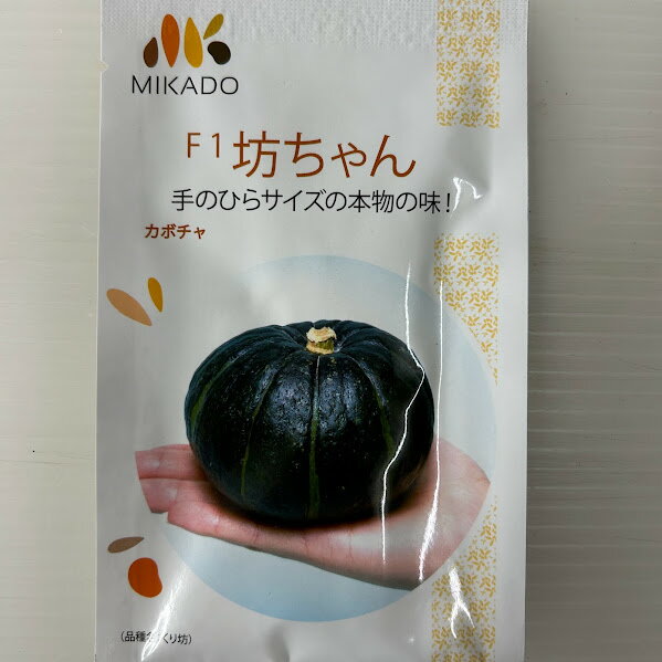 乐天商城 - 坊ちゃんカボチャ 種 8粒入　手のひらサイズ　食べきりやすい大きさ　メーカーみかど協和　南瓜　レンジでチンできる　着果後約40日で収穫　ホクホク系で美味しい　球重約500g