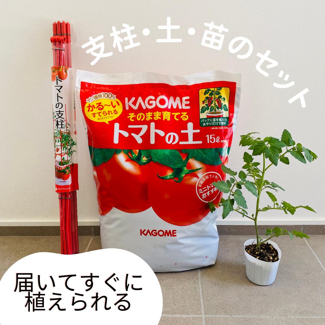 【ミニトマト栽培セット】　そのまま育てるトマトの土　ミニトマトの苗　支柱セッ...