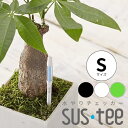 【サスティー Sサイズ シングルパック(個包装)】 sustee グリーン ホワイト ブラック 2〜3号鉢用 水やりチェッカー 植物の水分計 観葉植物 盆栽にも