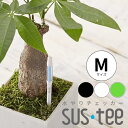 【サスティー Mサイズ シングルパック(個包装)】sustee グリーン ホワイト ブラック 5〜6号鉢用 水やりチェッカー 植物 水分計 観葉植物 盆栽にも