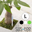 【サスティー Lサイズ シングルパック(個包装)】 sustee ホワイト ブラック グリーン 6〜12号鉢用 水やりチェッカー 植物の水分計 観葉植物 盆栽に...
