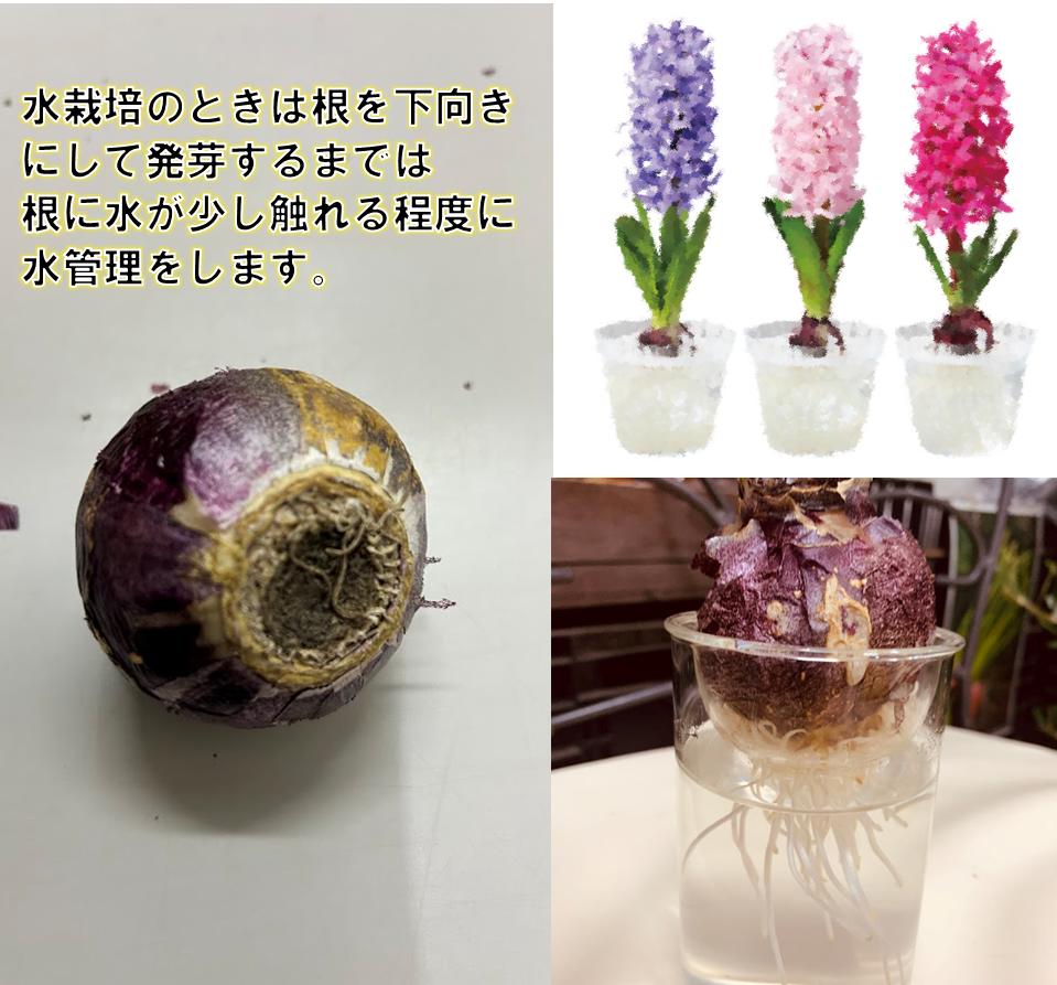 �ҥ䥷�� ����ݸ��� �庬1�� ��6��