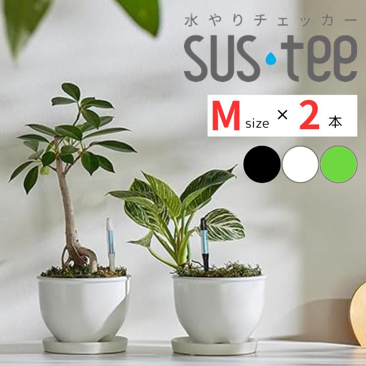 サスティー Mサイズ 2本 グリーン ホワイト ブラック 5〜6号鉢用