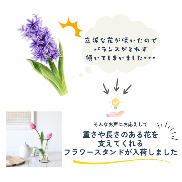 �ڥ��祻�ե������� �ե����ݡ��ȥ磻�䡼������ɡۥҥ䥷�� ����� ��̺��� �ѻ��� �������