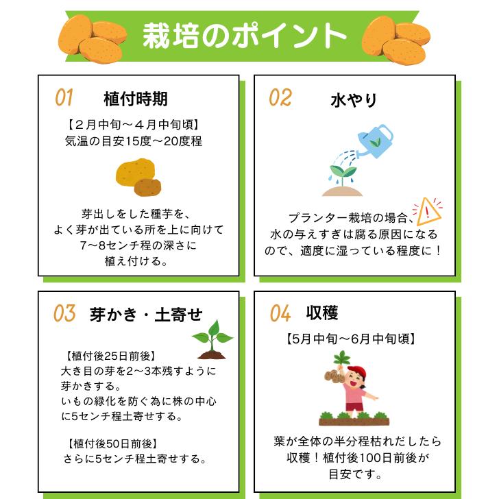 �ڤ��㤬���� ���ݥ��åȡۼ�� �˼� 2�� �������� ������ �롼�ĥݡ��� �դ� ���ݥ��å� ��ñ �ץ�󥿡����� �����ڱ� �٥����ڱ� �鿴�Ԥ��� �Ҥɤ� ����ˤ�