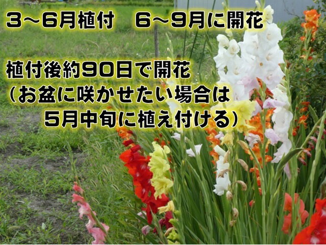 ���饸���饹 �庬 ������ �� ���̥ơ��״� �����