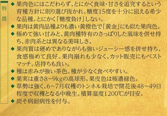 �⿧��� ��̥����������� 9������ݥå� �ʥ�ȼ���