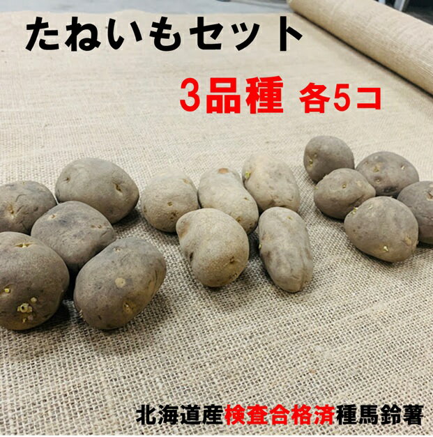 2024年最新海外 MICRO様専門キタアカリ 種芋 sからss20キロ 野菜 2024年最新海外 MICRO様専門キタアカリ 種芋 sからss20キロ 野菜