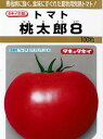 桃太郎8トマト 種 100粒 タキイ交配