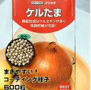 ケルたま 玉葱 種 コート種子約600粒(40ミリリットル)2Lサイズ種子 ペレット種子