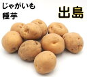 7年産 出島 1kg じゃがいも 種芋 サイズSML 広島県 長崎県産 秋植え 春植え 種馬鈴薯検査合格済