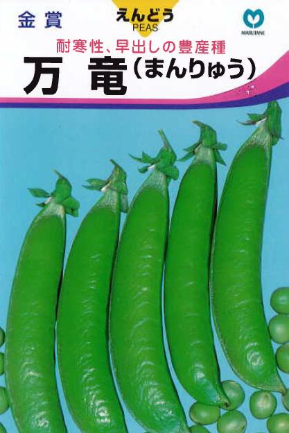 乐天商城 - 万竜エンドウ 種 極早生種 実エンドウ