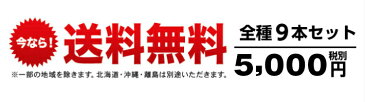 海苔 送料無料 味付けのり 水産庁長官賞受賞 極上海苔のり子さん全種類9本セット 味付け海苔 焼き海苔 ふりかけ 佃煮 塩海苔 わさび海苔 唐辛子海苔 ブラックペッパー海苔 名古屋のお土産