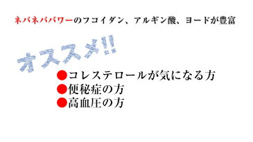 昆布 昆布森おしゃぶり芽かぶ（めひび）20袋　海の珍味めかぶ 送料無料　業務用　まとめ買いお買い得！