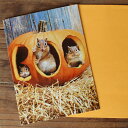 ハロウィンカード「BOO!パンプキンの中で遊ぶリスたち」Halloween Card from U.S.A.【ネコポス可】 2025