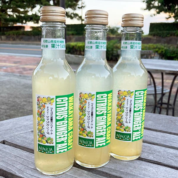WAKAYAMA CRAFT SODA 「シトラスジンジャーエール（旧スパイシーシトラスソーダ）」1本　和歌山産レモン・ジャバラ・新生姜入りスパイシーで爽やかな大人のスパークリングジュース・サイダー200ml・クラフトソーダ・柑橘系ジンジャーエール・ご当地サイダー 2025