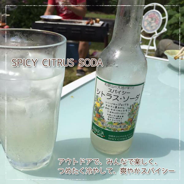 WAKAYAMA CRAFT SODA 「シトラスジンジャーエール（旧スパイシーシトラスソーダ）」1本　和歌山産レモン・ジャバラ・新生姜入りスパイシーで爽やかな大人のスパークリングジュース・サイダー200ml・クラフトソーダ・柑橘系ジンジャーエール・ご当地サイダー 2025