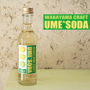 WAKAYAMA CRAFT SODA 「南高梅ソーダ」1本 和歌山県印南町産梅果汁16% 爽やかな大人のスパークリングジュース・ご当地サイダー200ml 20...