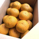 【送料込】和歌山産「ジャバラ」秀品 新岡農園の柑橘フルーツ「紀州かつらぎ山じゃばら」生果実3Kg 花粉の季節に・贈答に(自宅用簡易箱は200円割引)