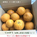 生じゃばら果実今シーズン最終販売【クール便】和歌山産ジャバラ3kg 秀品/格外AB級品混合 有田川町・かつらぎ町・紀の川市産の柑橘フルーツ「じゃばら」(不揃い・...