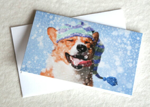 フォトクリスマスミニカード『SNOWFLAKES』〜雪にコーギーも大喜び(インポートカード) 【グリーティングカード・ギフトカード・メッセージカード・招待状・お...