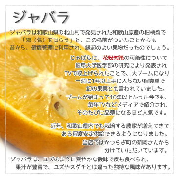 アランチャ自家製「ジャバラぽん酢」230g 和歌山産柑橘フルーツ「じゃばら」を使った本格だしポン酢