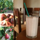 【冷凍便】和歌山産「いちじくスムージー」農家さんから直接分けてもらうくだもの(イチジク+ レモン+みかんの花の蜂蜜)のフローズンフルーツジュース・冷凍果物 2025