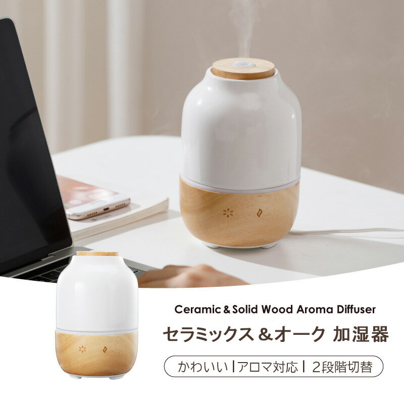 加湿器 スチーム式 卓上 小型 加湿器 卓上加湿器 小型 超音波式 加湿器 小さめ USB おしゃれ 簡単給水 ..