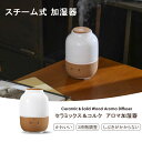 加湿器 卓上 小型 スチーム式 超音波式 加湿器 LED点灯機能付き 簡単給水 間接照明 アロマ加湿器 おしゃれ ボトル型 加湿器 小さい ライト アロマ 加湿器 寝室 枕元 静か 加湿器 小さい デスク