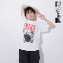 SCREEN STARS XN[X^[Y 5.6oz VR[} ۓ vg TVc gLIFE~SCREEN STARS BESTh life-tshirt-mn fB[X N[|Ώ 