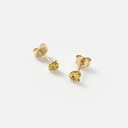 SOURCE ソウス ゴールドナゲットピアスGold Nugget Earrings ng-p-01-yn レディース