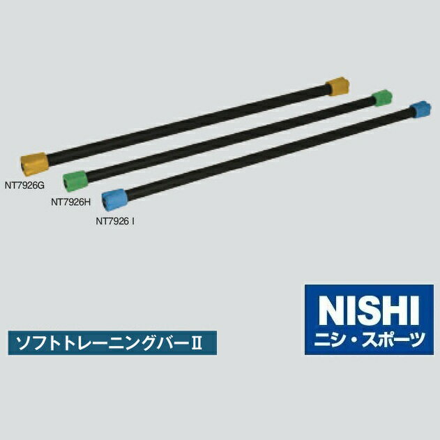 ニシ・スポーツ（NISHI）NT7926H 6kg ソフトトレーニングバー2