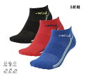 ニシ・スポーツ(NISHI)T&F プラクティスソックス 3足組 2811A038 吸汗速乾 滑り止め アーチフィット かかとYヒール